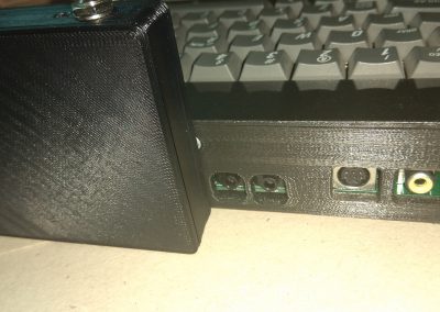 La clavija MIC en este harlequin libra con holgura.