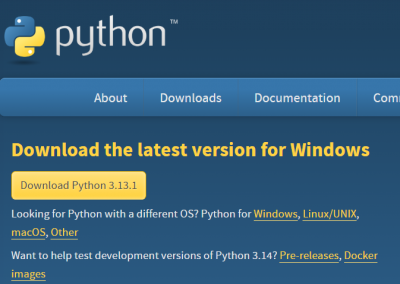 Buscar Python Google